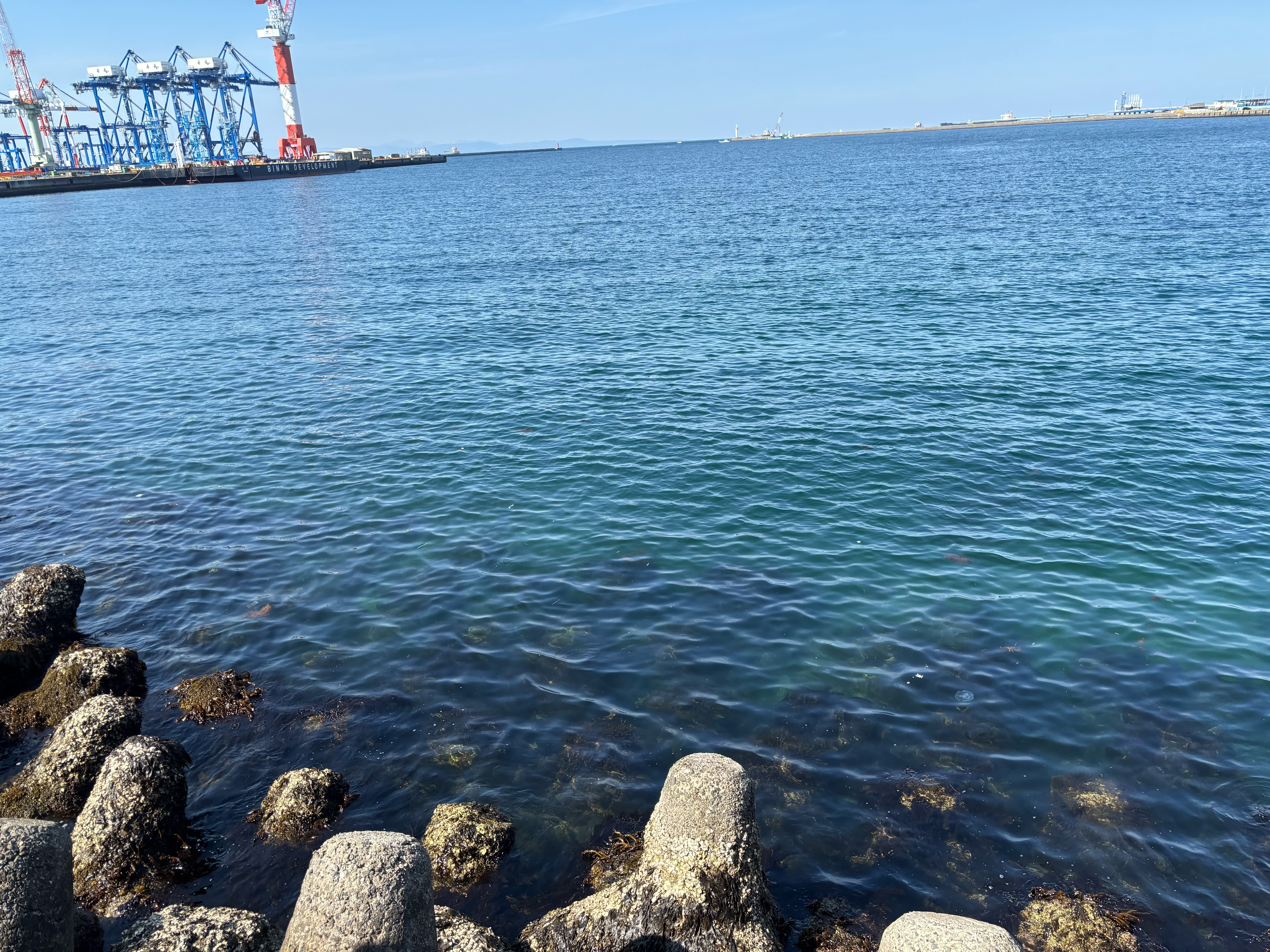 日吉原工業団地 - テトラは約10m先まで。その先は砂地。