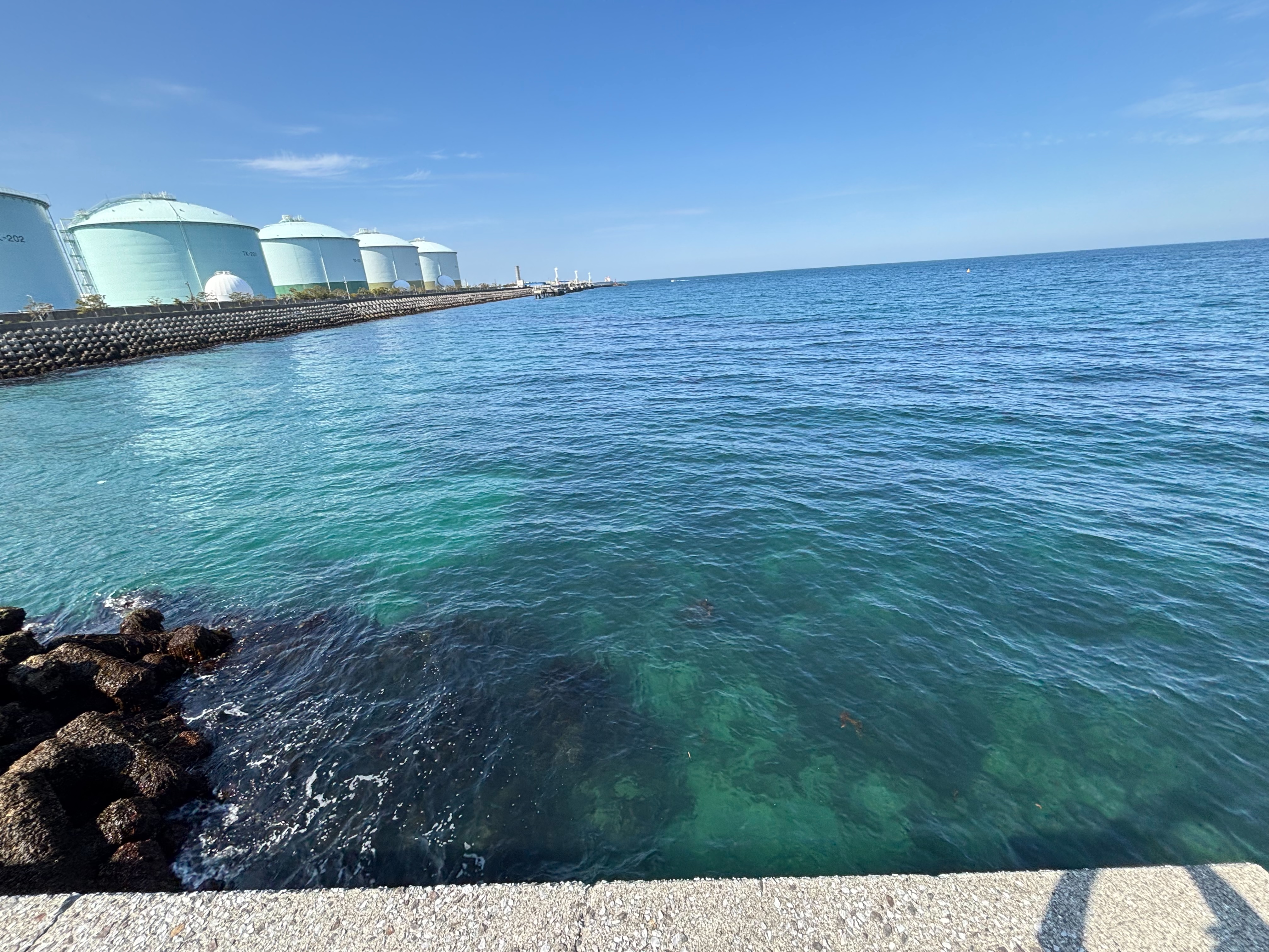 細新波止 - テトラ側は木っ端グレと根魚の釣り場。大型の魚を見ることはほぼ