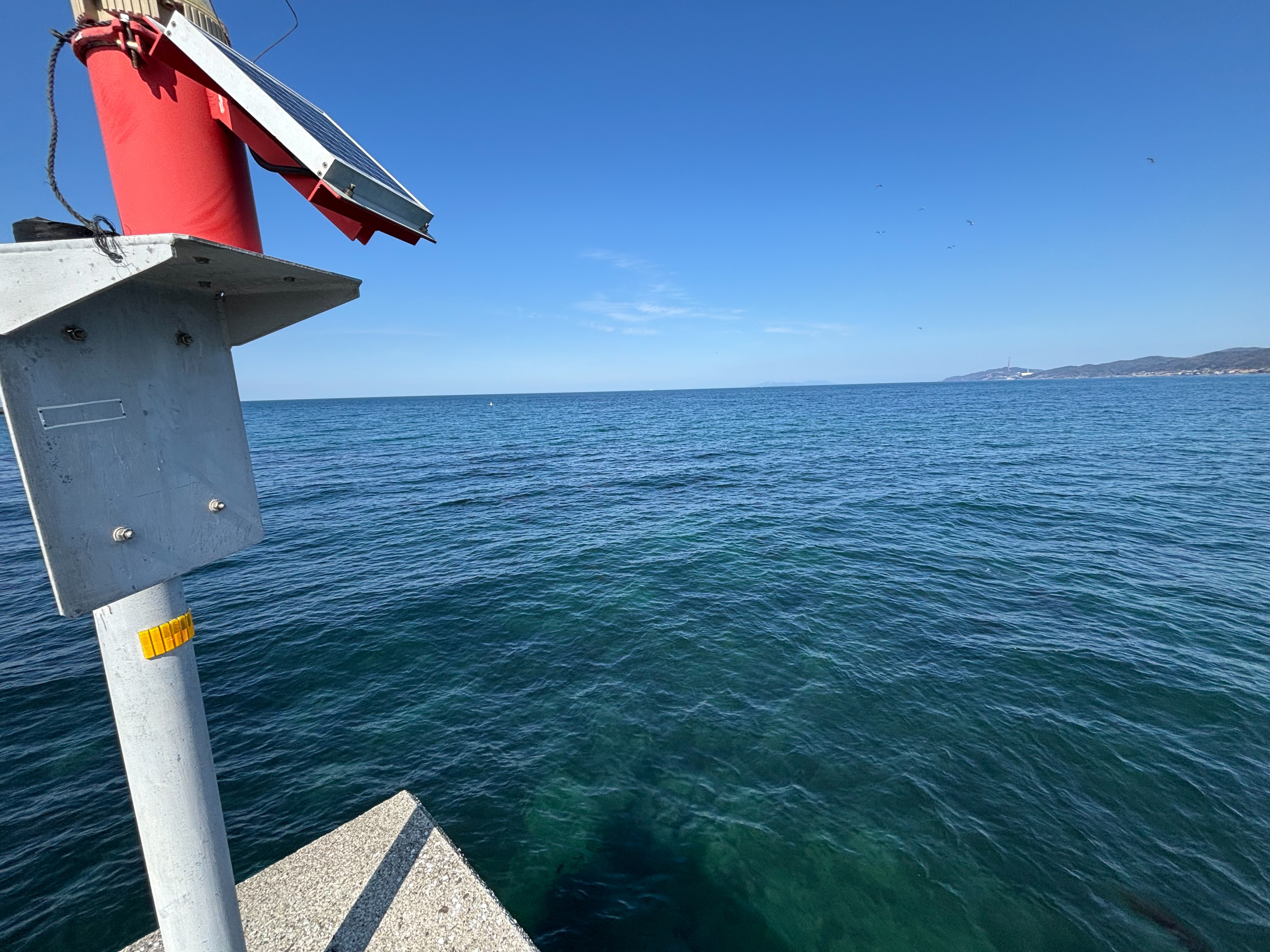細新波止 - 先端からの光景。20みょり策は海藻が茂っており、海藻のなくな