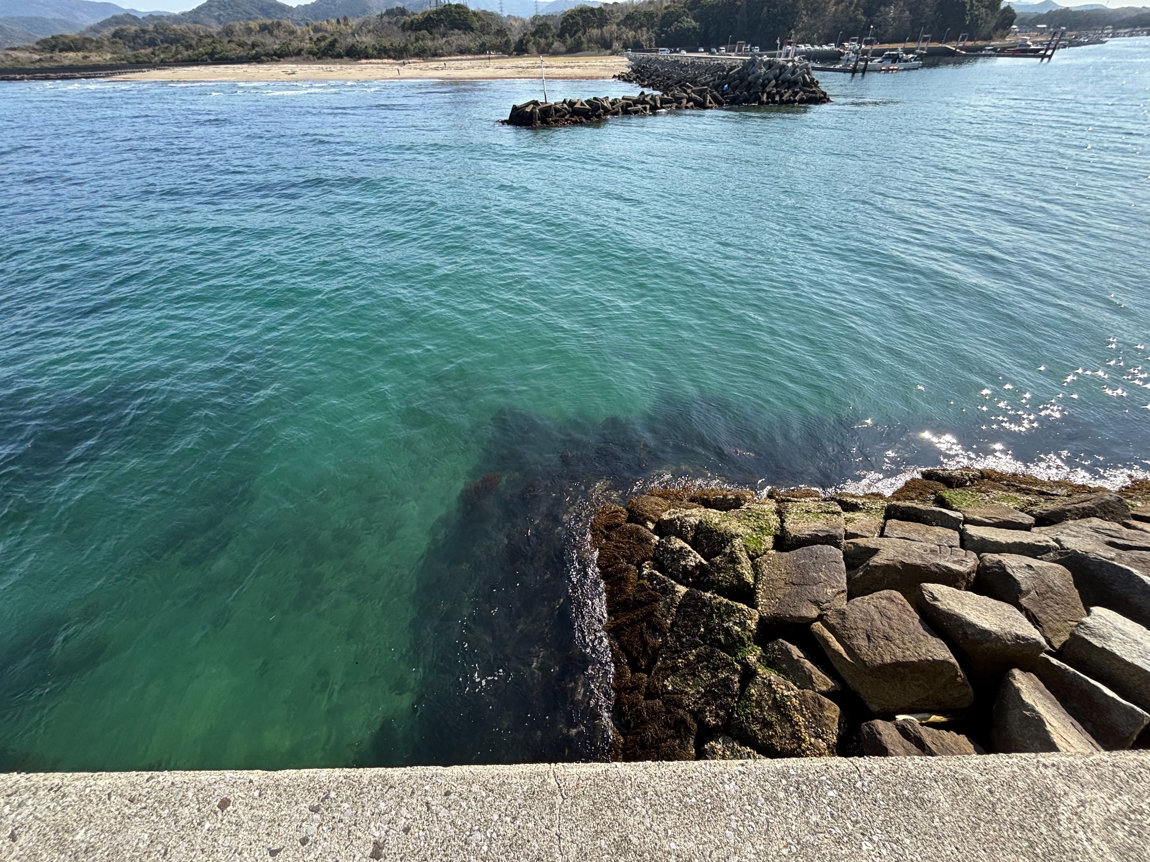 細新波止 - 陸側も砂地。こちら側は魚の姿を見ない。