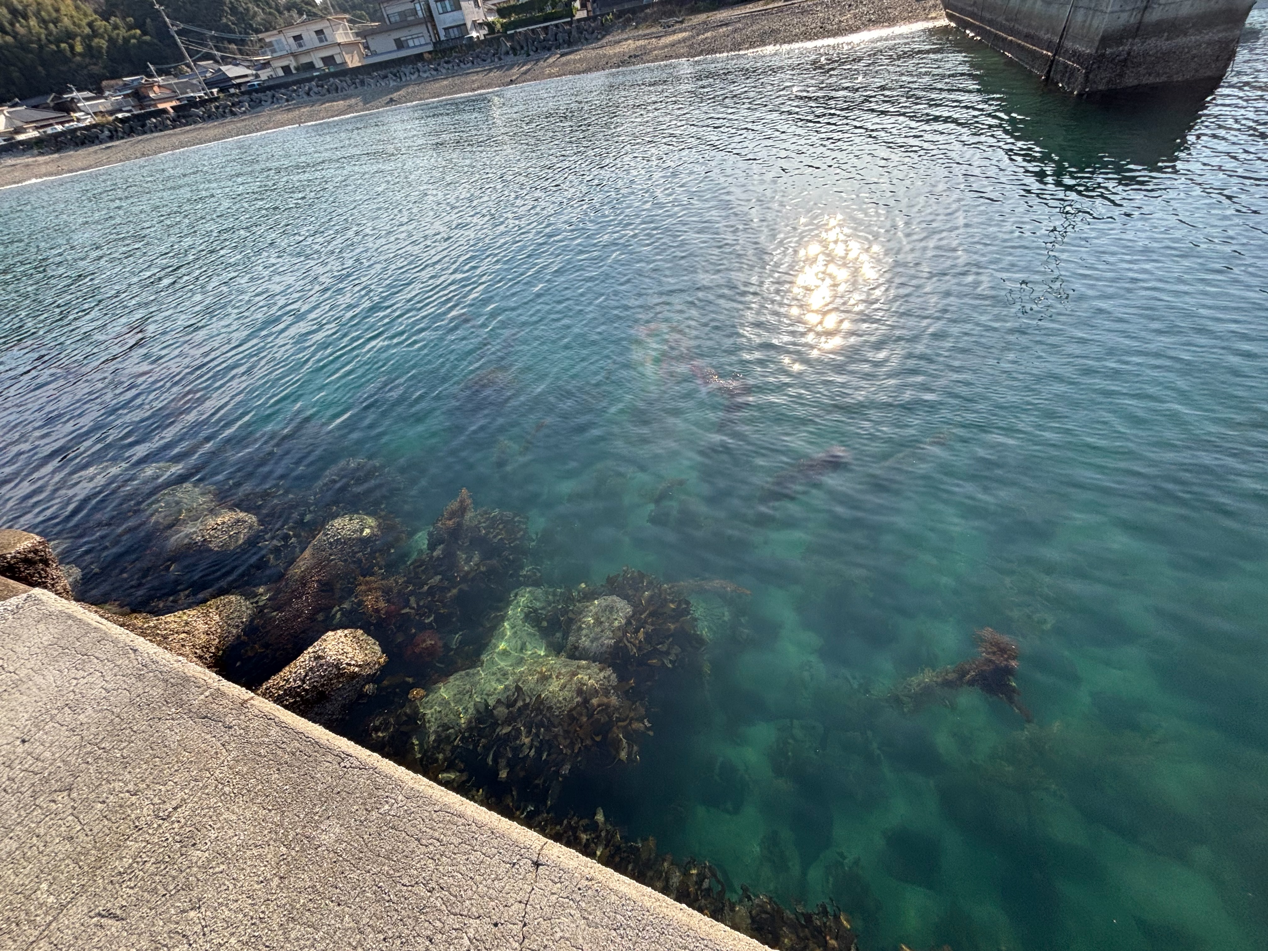 一尺屋上浦港 - 堤防先端のテトラの際。堤防直下はブロックが入っている。