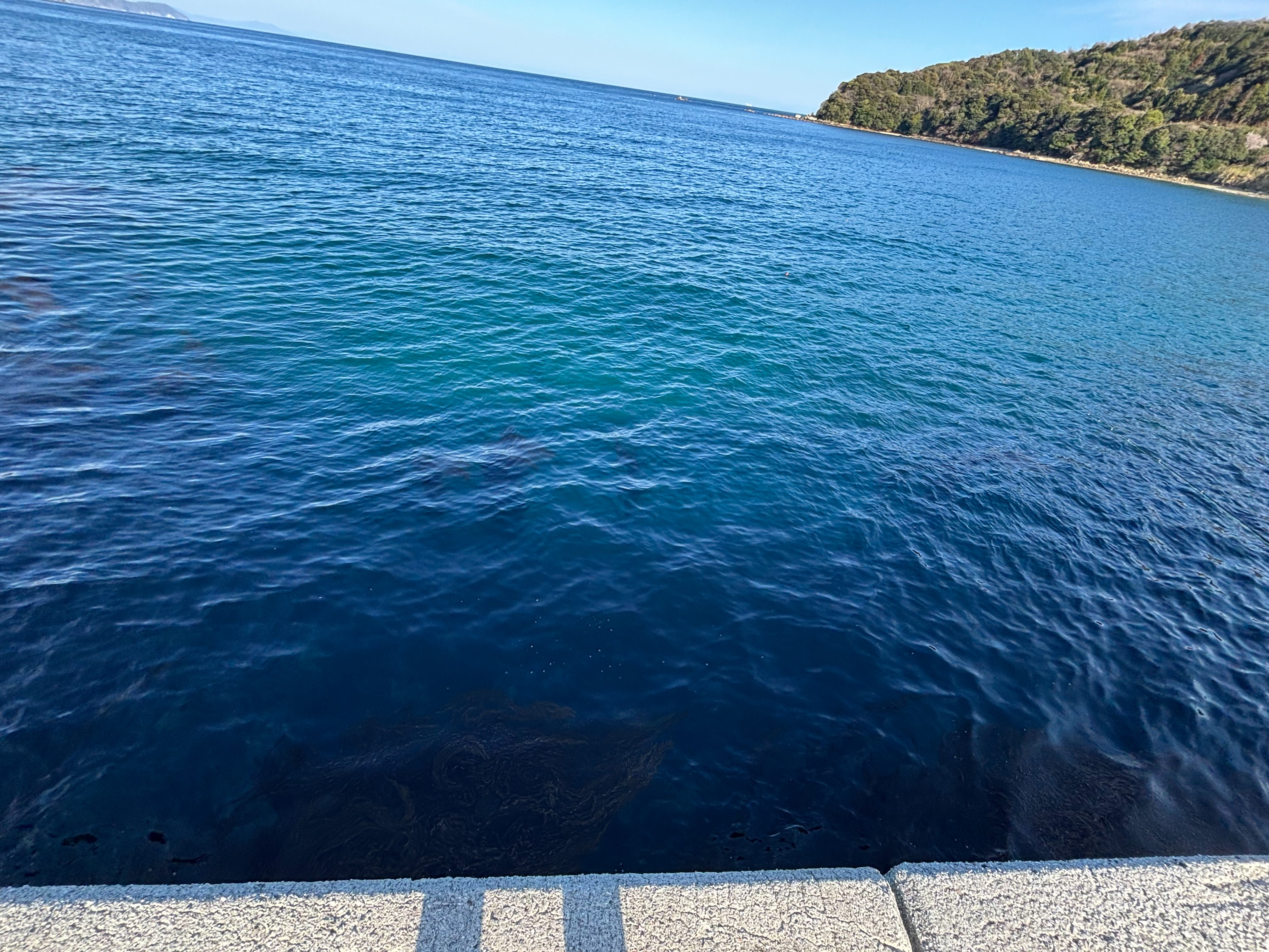 一尺屋上浦港 - 堤防外側。手前は藻が生えている。回収時に引っ掛けやすい。アオ