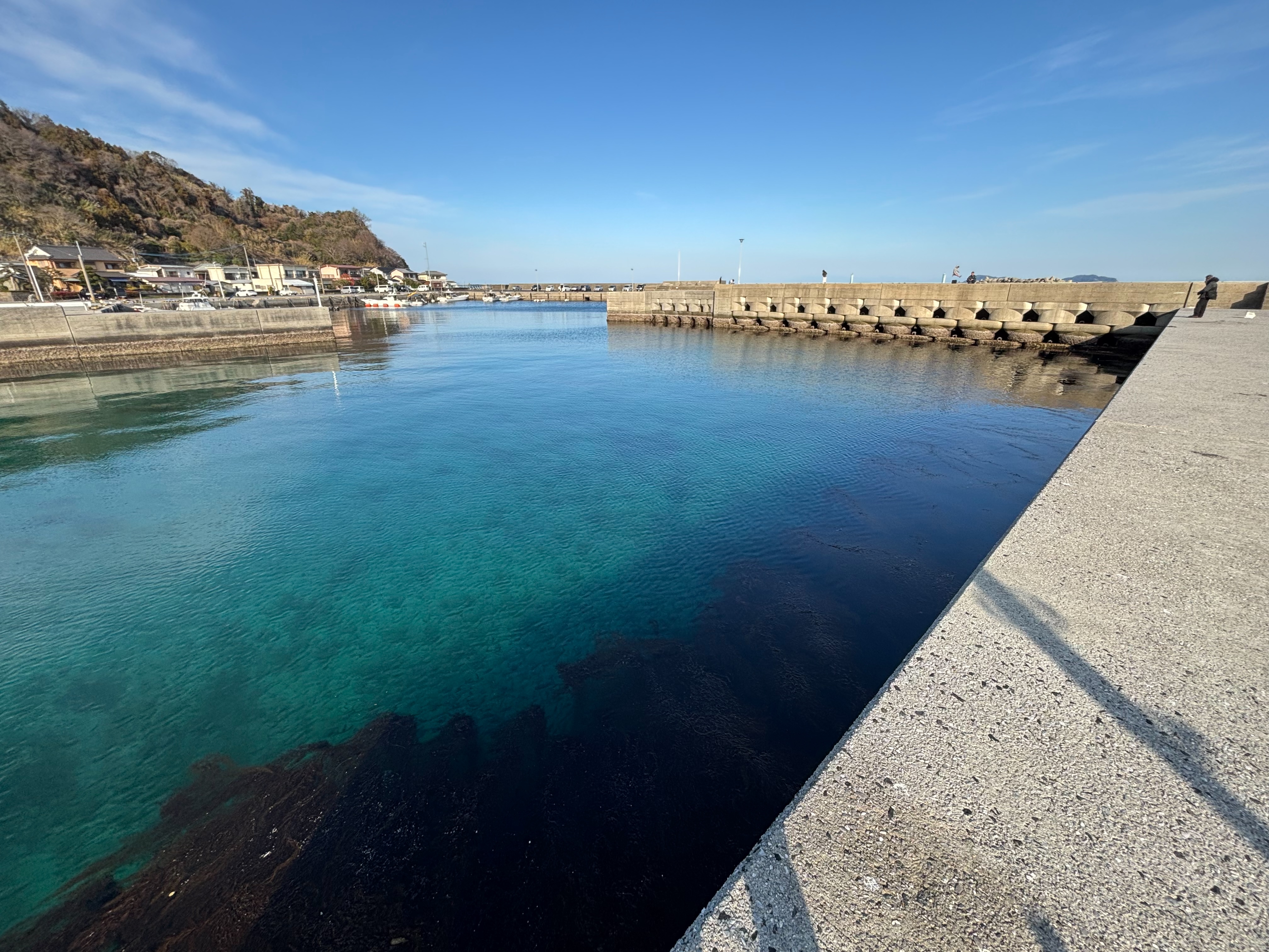 一尺屋下浦港 - 港内は浅い。浅いのでサイトフィッシングができる。堤防手前は藻