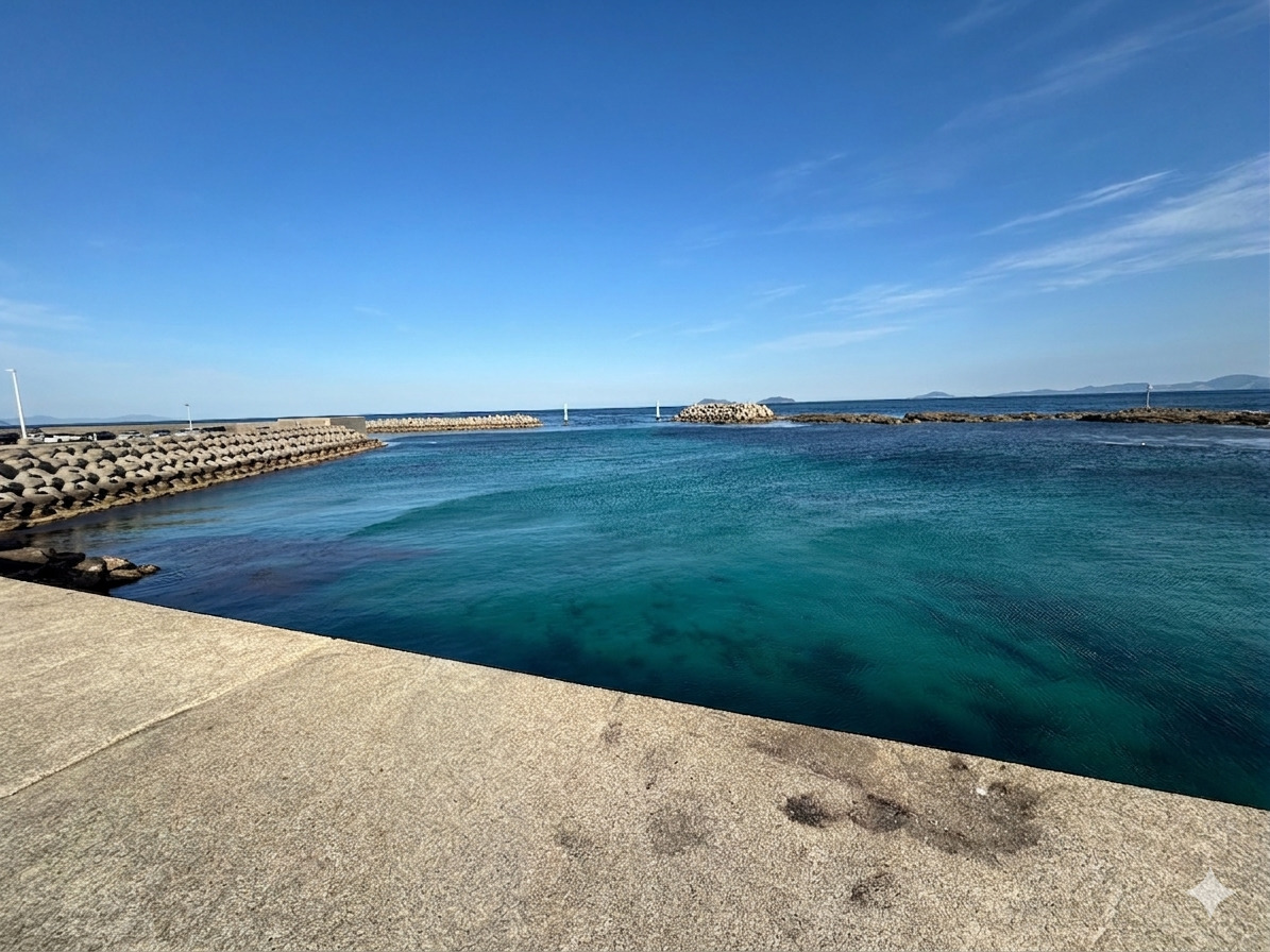一尺屋下浦港 - 常夜灯横。夜のアオリイカのポイント。ほかに連れている印象はな