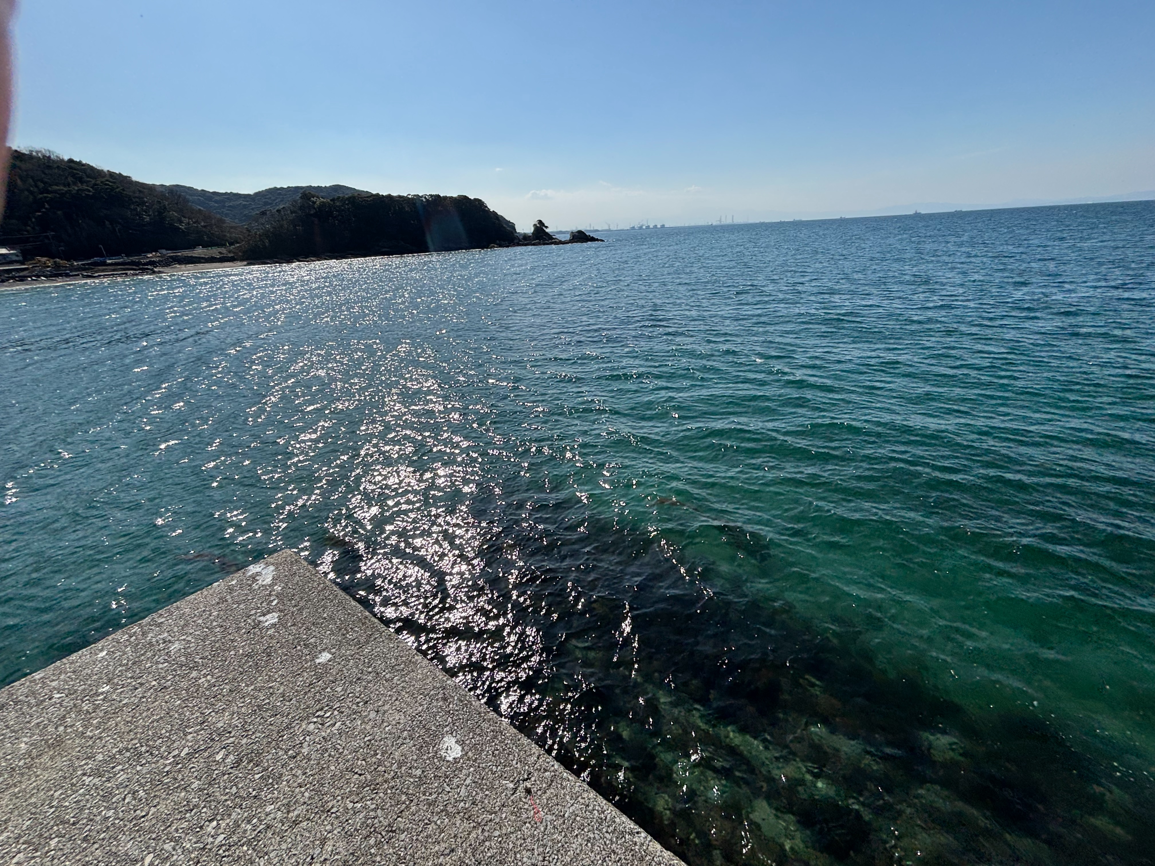 小志生木 - 沖は海藻帯が広く分布しており、キス狙いで砂地との境界を狙うた