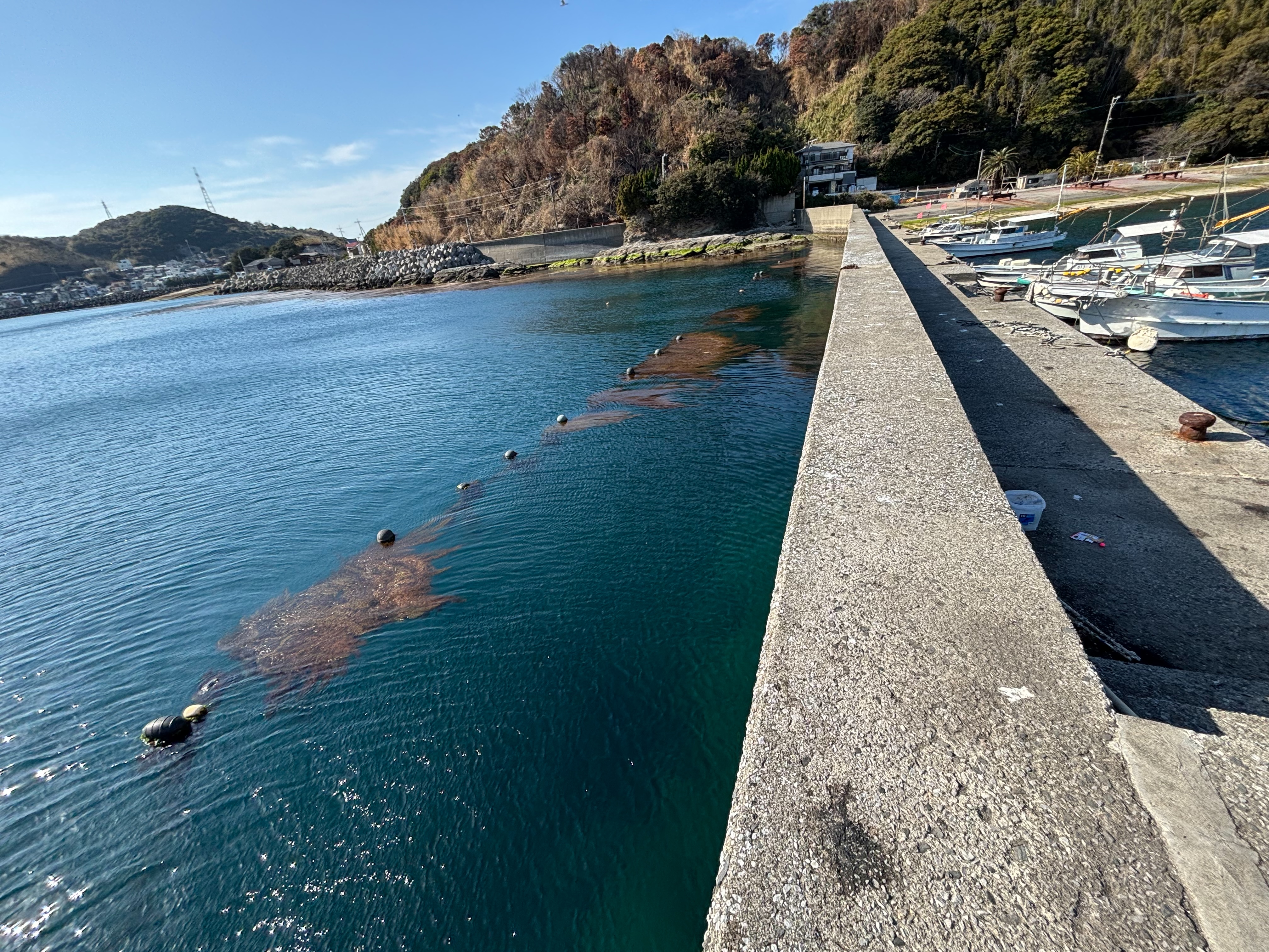 幸之浦 - サビキ釣りで子アジを釣るには良い。また常夜灯があるので夜釣り