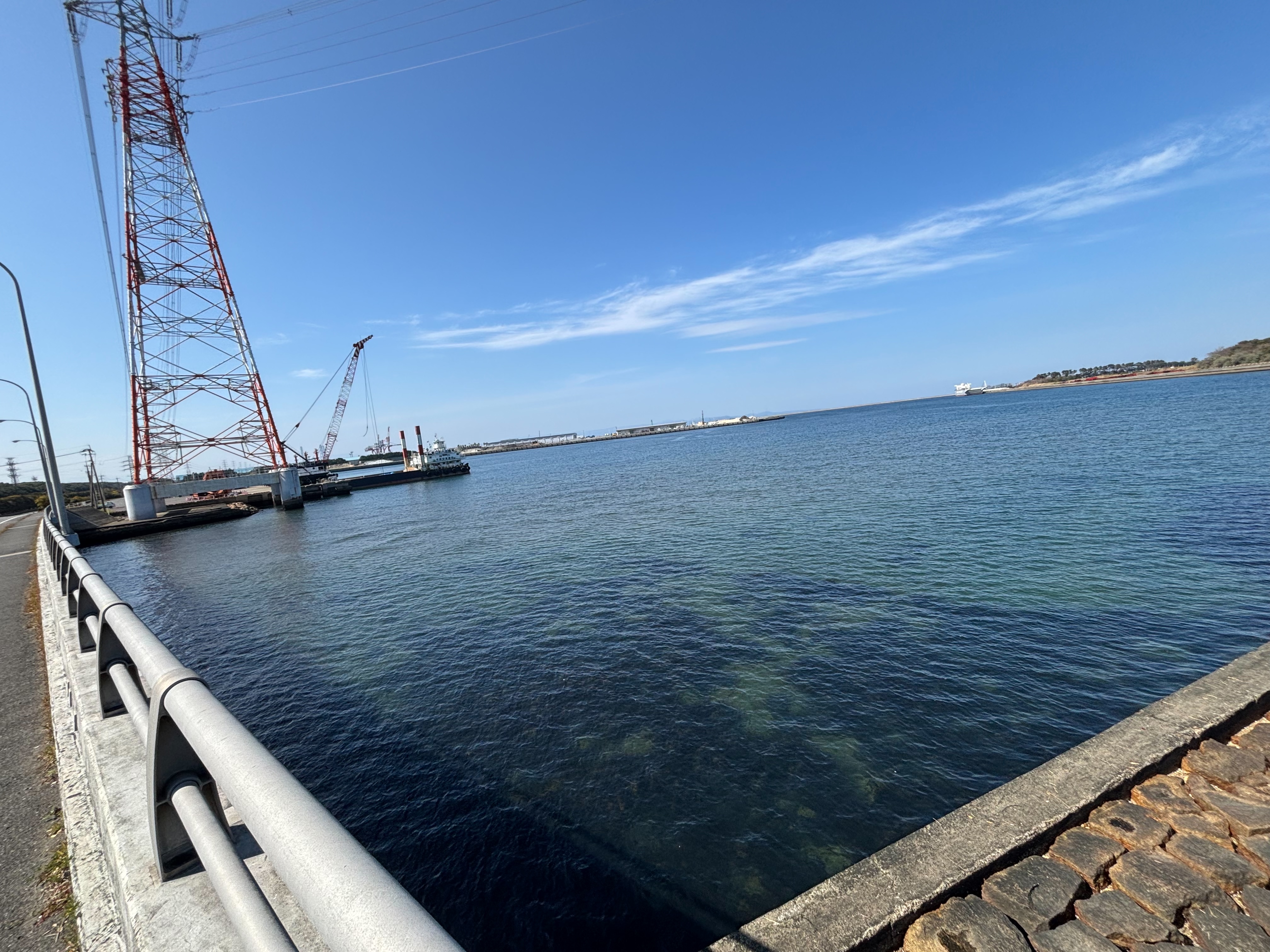 丹生川河口 - 全景。満潮時も海底が見えるほど浅い。コノシロの群れが入ったと