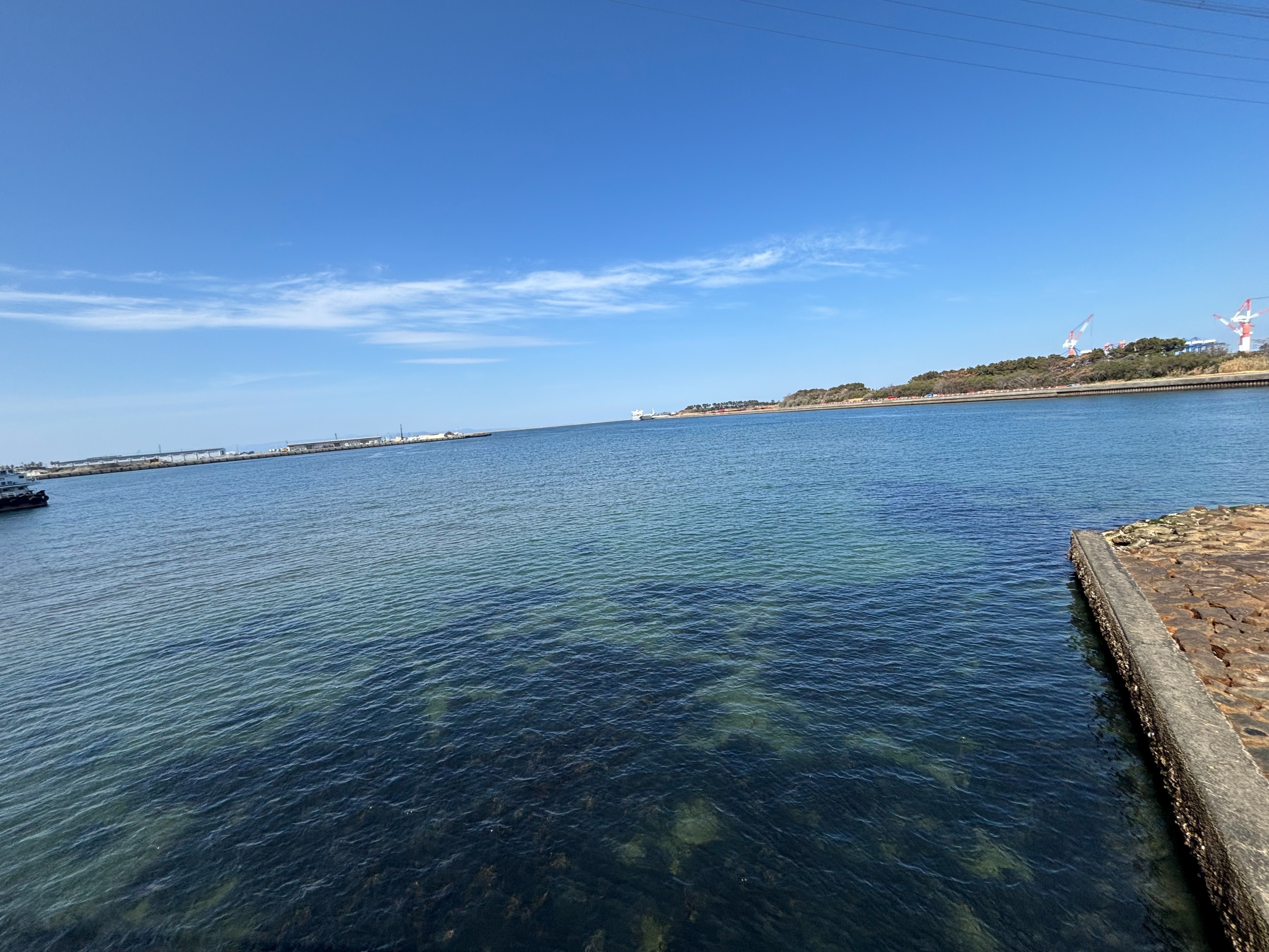 丹生川河口 - 海底は砂地で東側は藻が多い。潮回りに関係なく干潮時は画像のよ