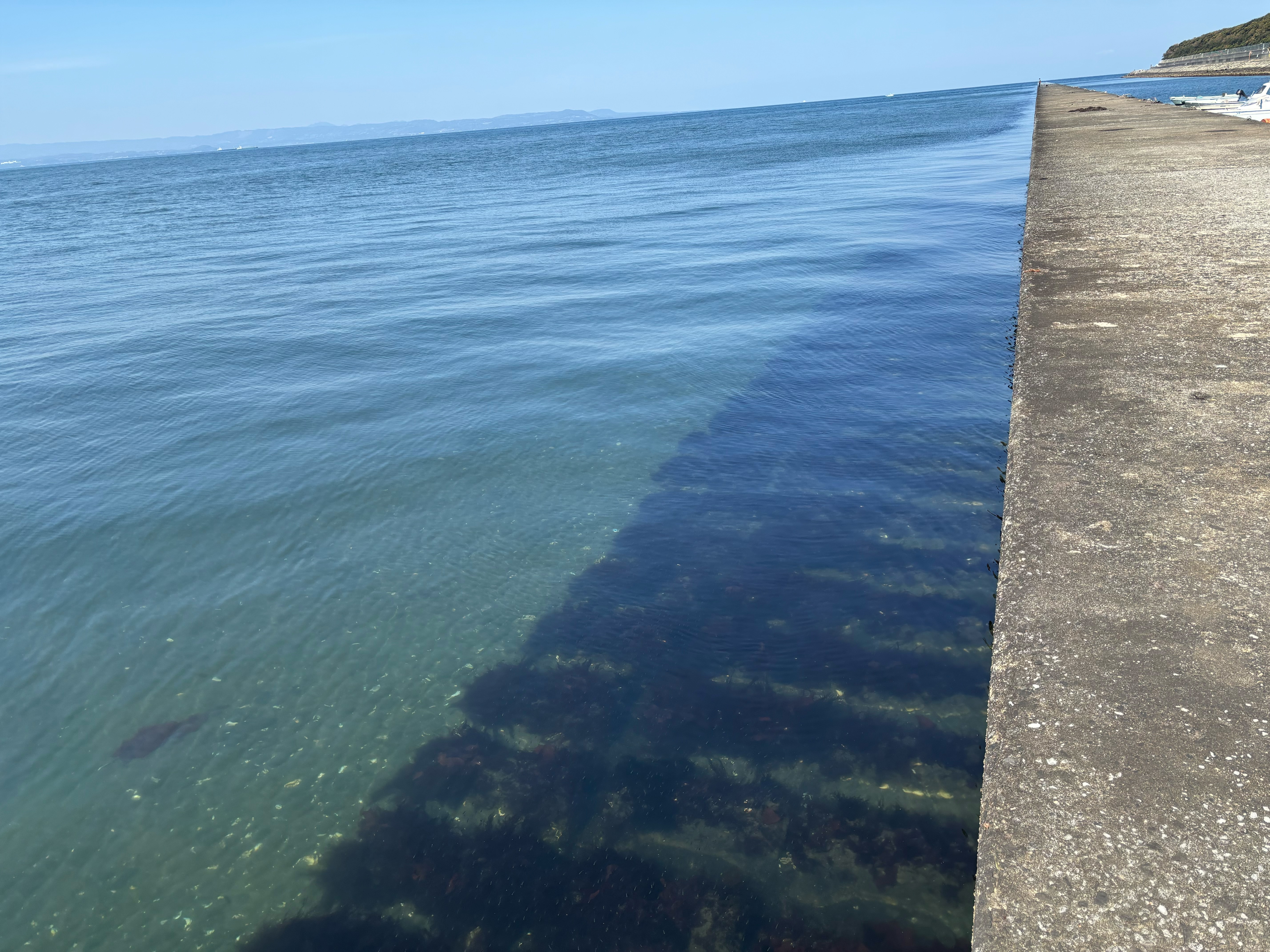 大野川河口 - 海底は砂地。導流堤の直下はブロックが敷き詰められているため根