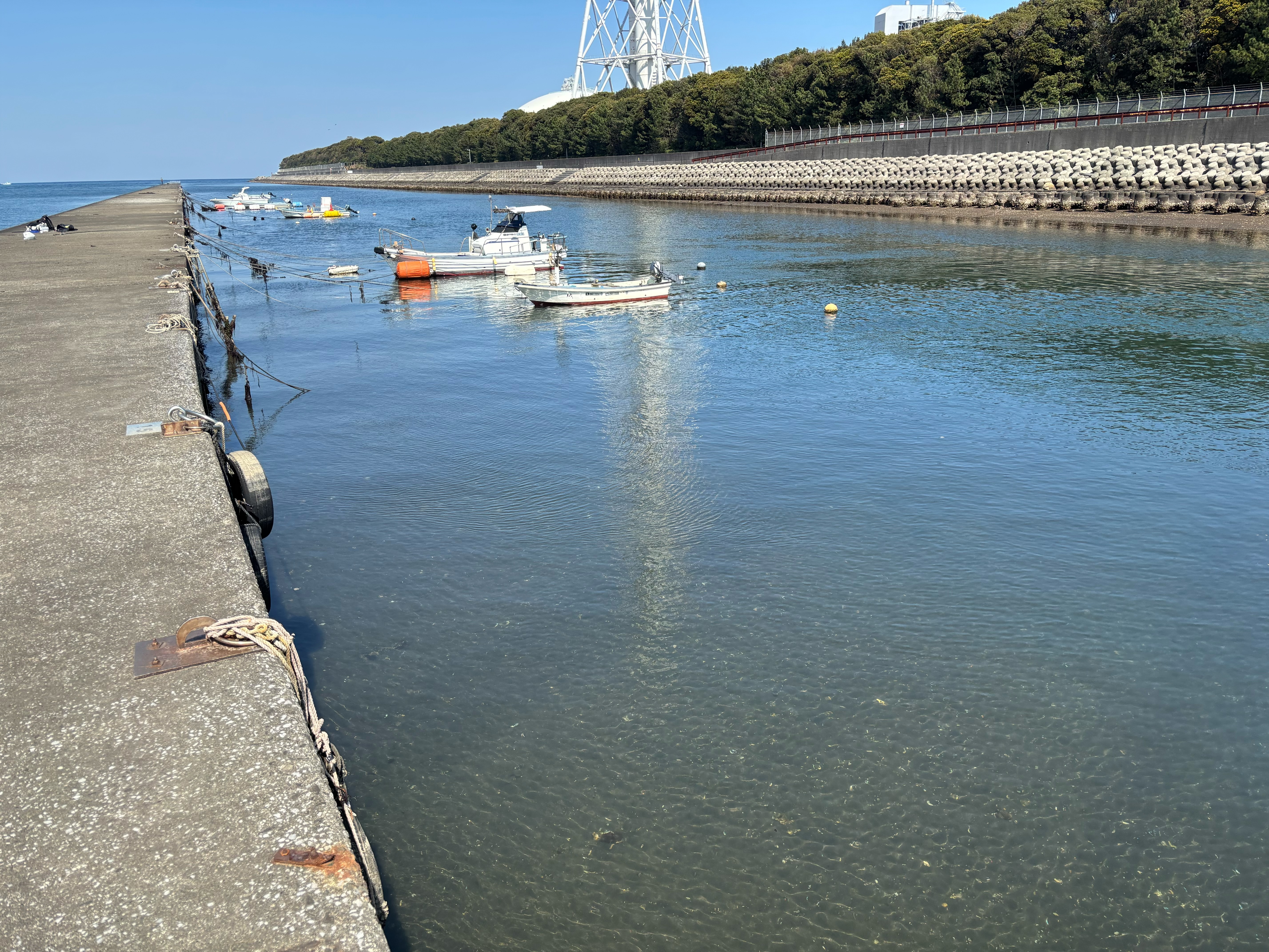 大野川河口 - 導流堤内側はキスや子アジが溜まりやすい。係留用のロープや不法