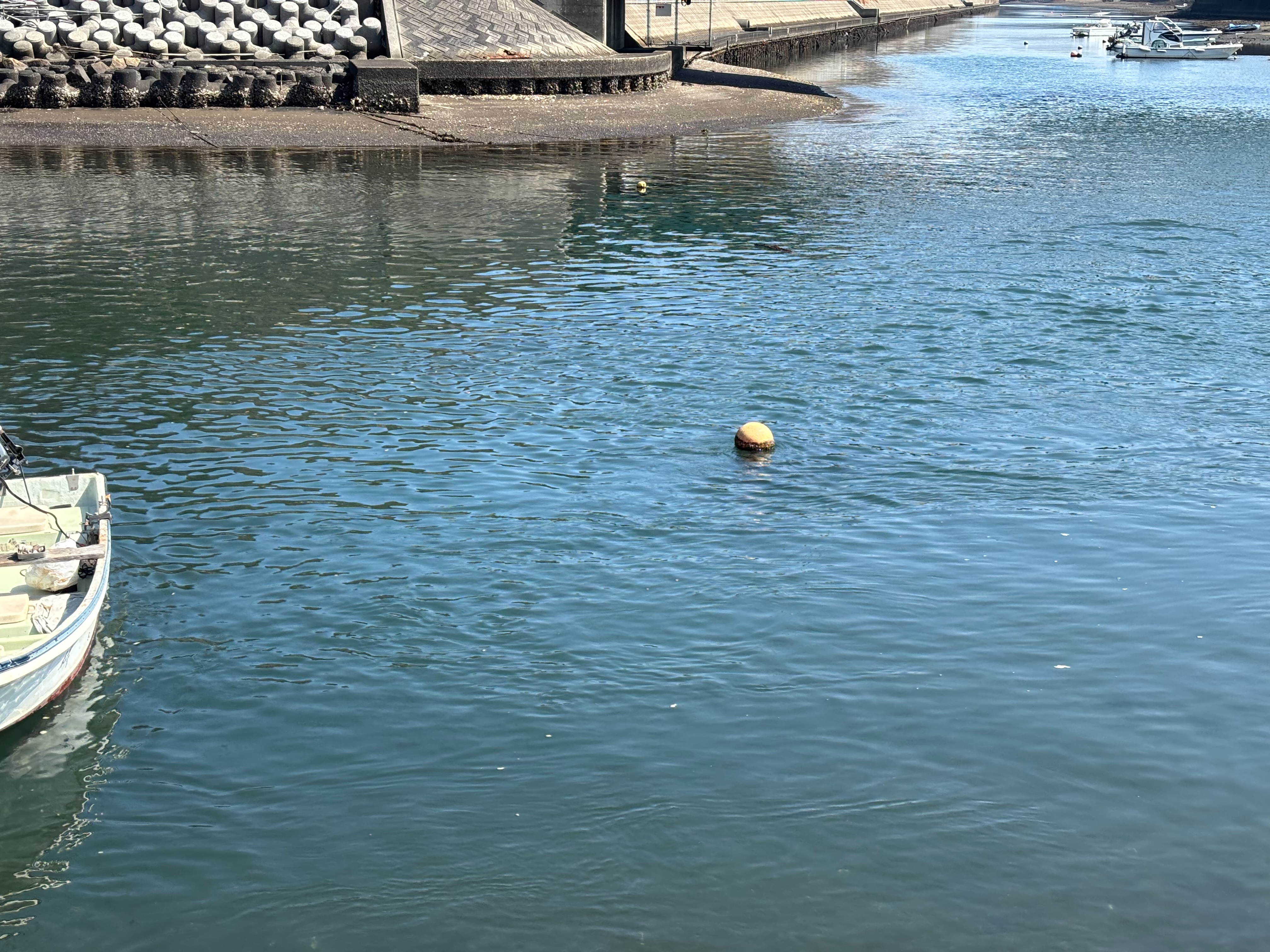 大野川河口 - 導流堤根元のこのブイの周辺が窪みになっており、子アジがつきや