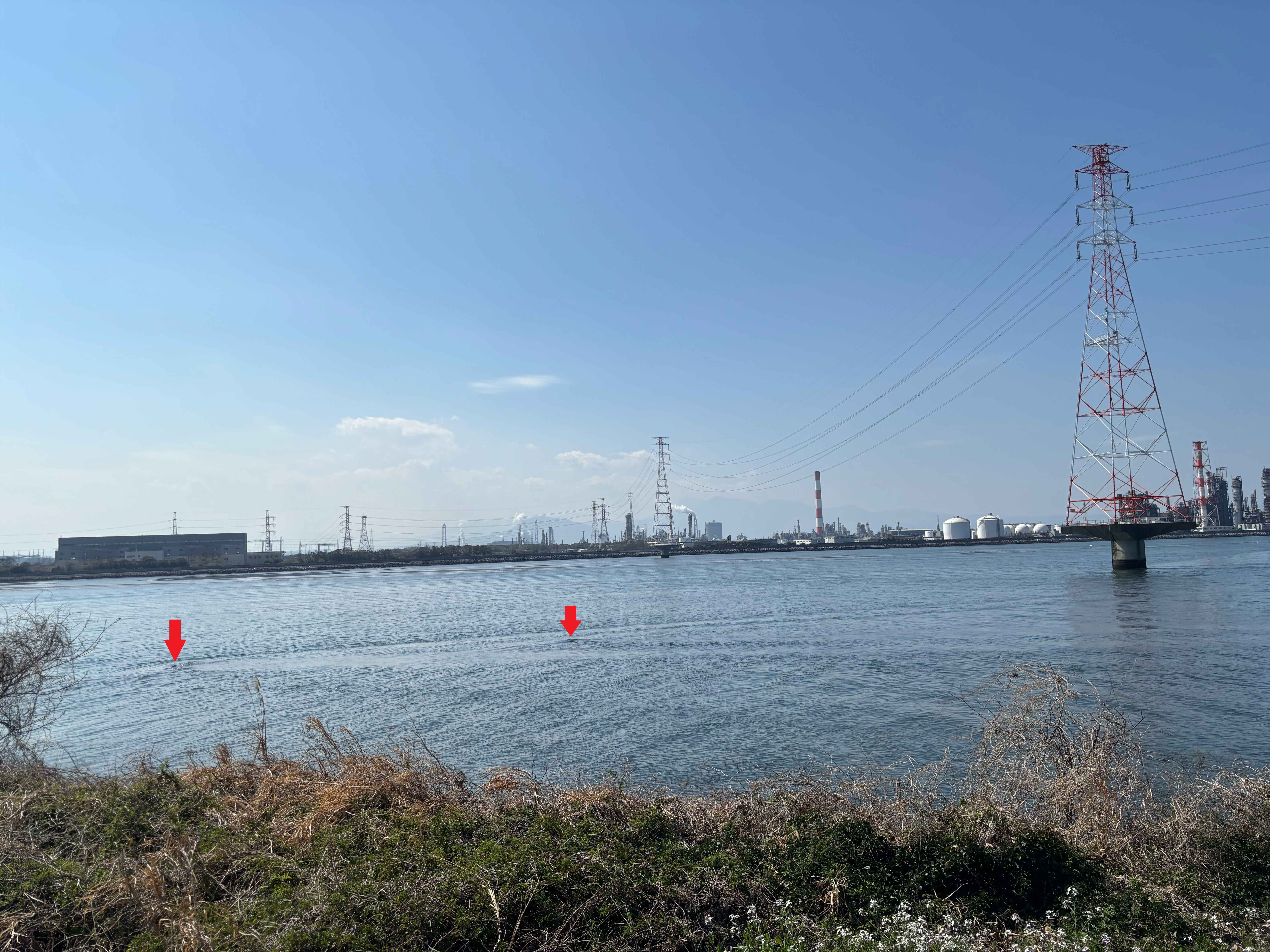 大野川河口 - 導流堤入り口付近。大潮干潮時に見ることができるが岩が沈んでい