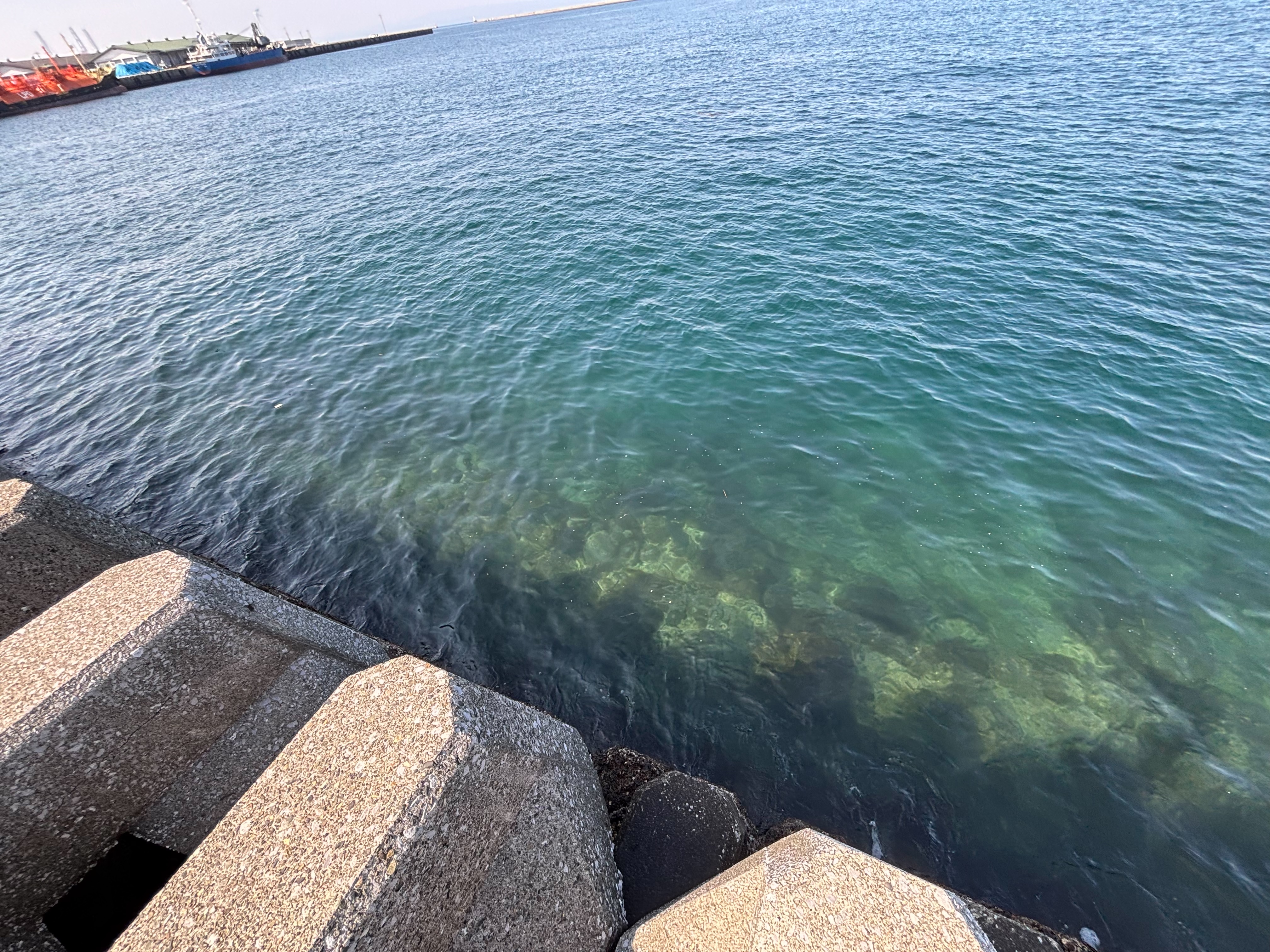 大在公共ふ頭 - 大勝丸乗り場周辺。手前は捨て石が広がる。海を向いて左側は砂地