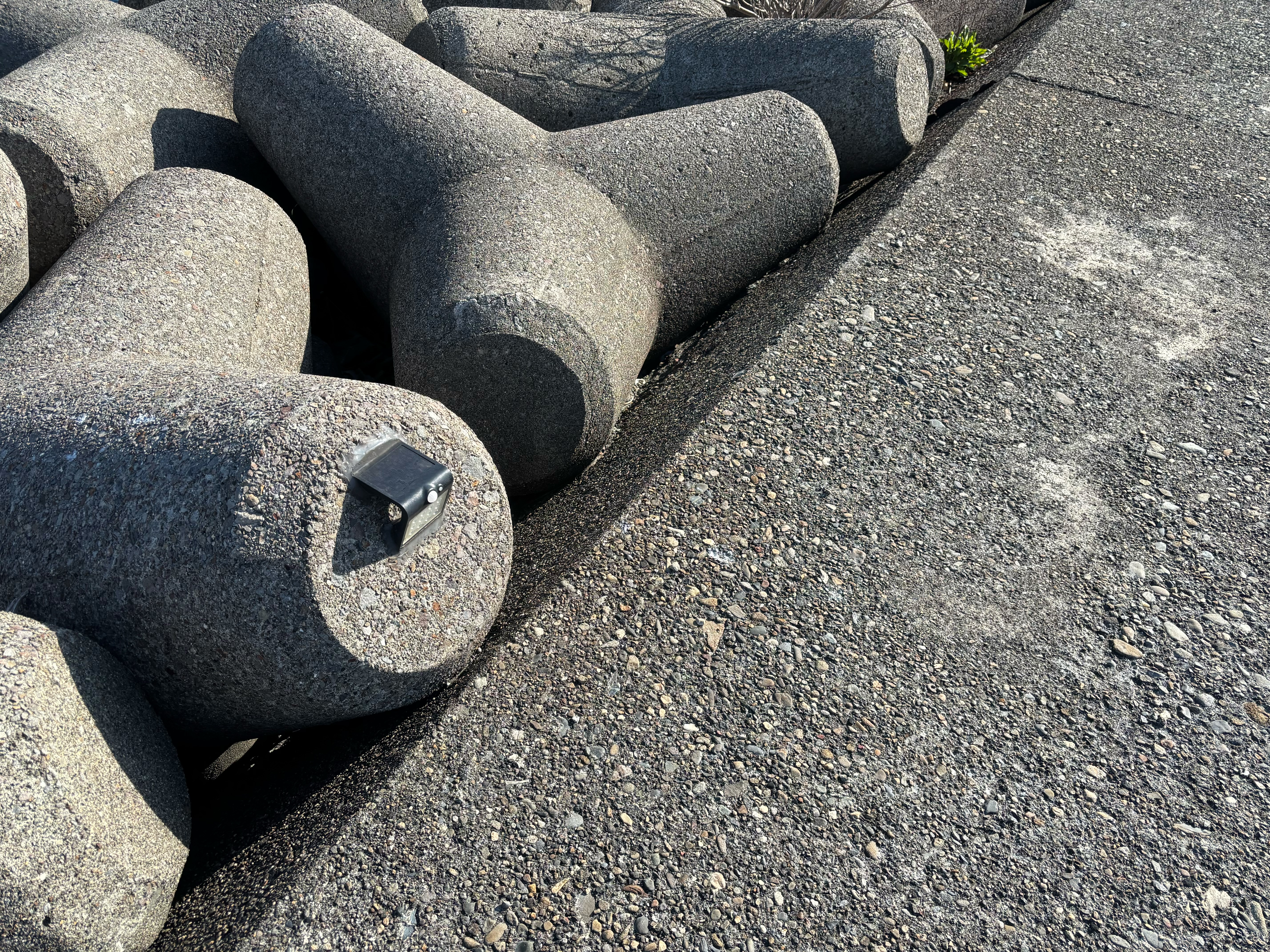 佐賀関漁港 - 漁港関係の方がソーラー充電式のライトを設置してくださっている